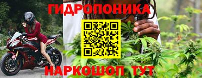 шишки Севастополь