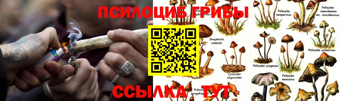 Псилоцибиновые грибы MAGIC MUSHROOMS Ржев