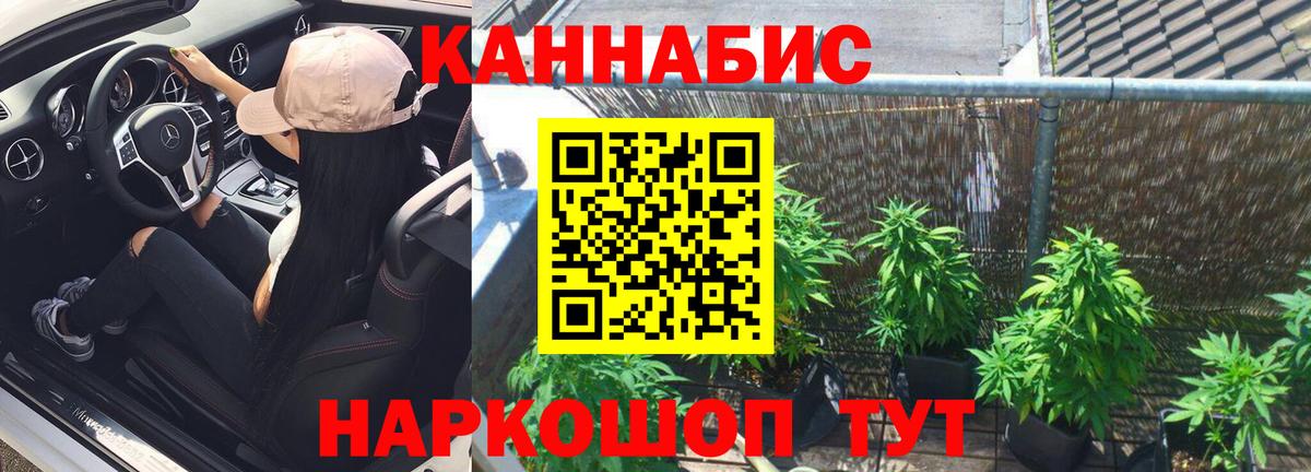 Шишки марихуана гибрид Ржев